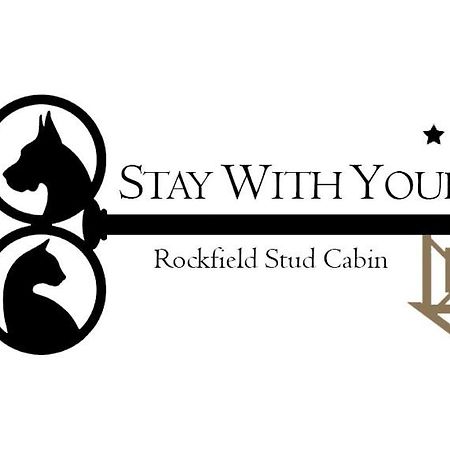 קיל איירן Stay With Your Pet מראה חיצוני תמונה